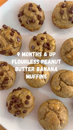 9 months & up Flourless Peanut Butter Banana Muffins 🥜🍌 A nutritious, quick, flourless muffin, made with just 5 simple ingredients and all within 15 minutes! Gluten-free, high in protein and naturally sweetened with only bananas 🍌 They come out so soft and fluffy, make a great breakfast, snack, healthy dessert or lunchbox treat. For 2 years and up you can add some chocolate chips on top (omit for under 24 months) 🍫 Full recipe on eatingwithzion.com✨ Follow and save for more 🌟 #babyfood #tod