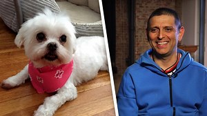 Man Saves His Dog's Life After Learning Pet CPR