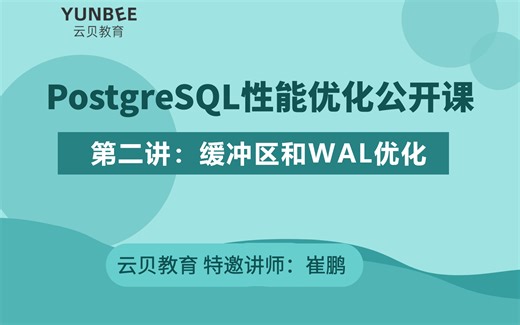 PostgreSQL性能优化实战公开课-第二讲：缓冲区和WAL优化，全程实战干货 数据库实战精讲 错过必后悔