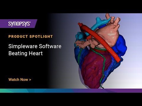 Simpleware Software Beating Heart