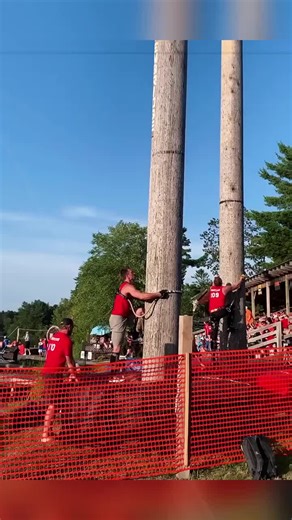 Explore the Magic of Smart AI Robots