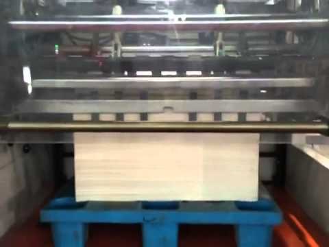Automatic Hot Foil Stamping Machine with Feeder and Stacker