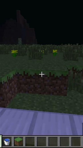 I made a swimming pool in minecraft #shorts