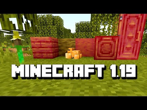 Minecraft 1.19 wird ernst ! | LarsLP