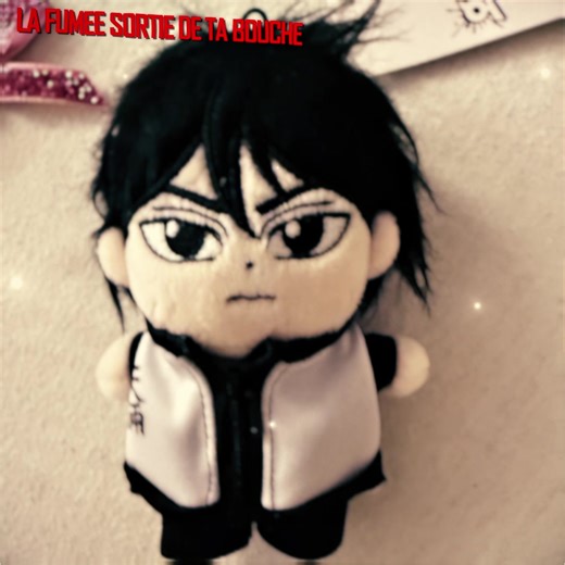 Emotional Splurge on Plushies: The Story Behind It
