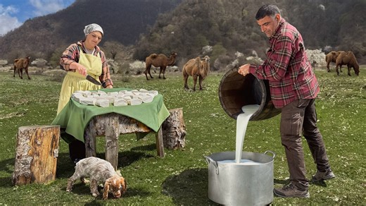 Making $500 Cheese from Rare Camel Milk in the Mountains