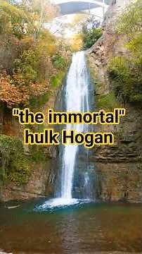 WWE "the immortal" hulk Hogan tribute #wrestling #wwe