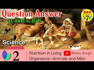 🍒Nutrition in Living Organisms-Animals and Man | Dav Class 7 Science Chapter 2 All Question Answers.