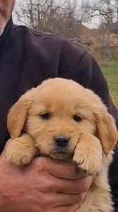 Attila László on Reels