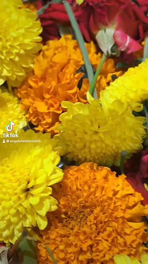 3.3K views | Vishu saree collection available at Angels Fashions❤️❤️❤️visit our boutique at Angels Fashions❤️❤️❤️ | Angels Fashions | Facebook