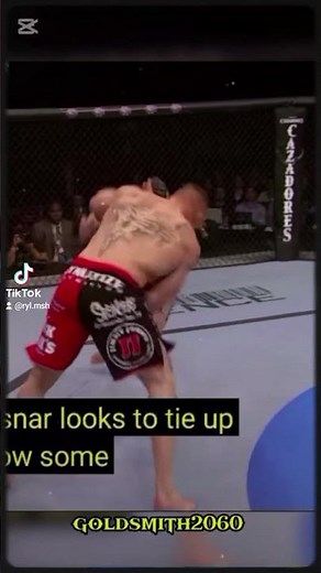 Brock Lesnar UFC fight #youtubeshorts #ufc