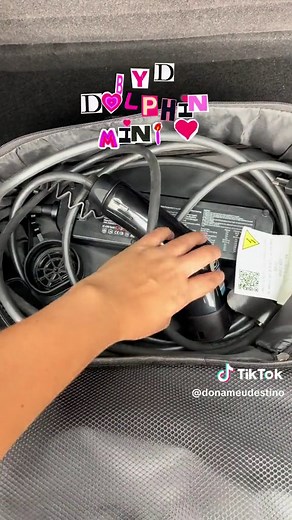 BYD Dolphin Mini: Um Carro Elétrico Barato e Cheio de Charme