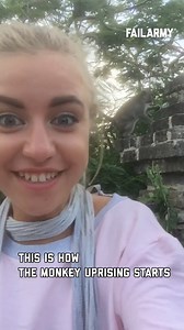 Who had escaped lab monkeys on their 2025 bingo card? #Mississippi #monkeys #labmonkeys | FailArmy