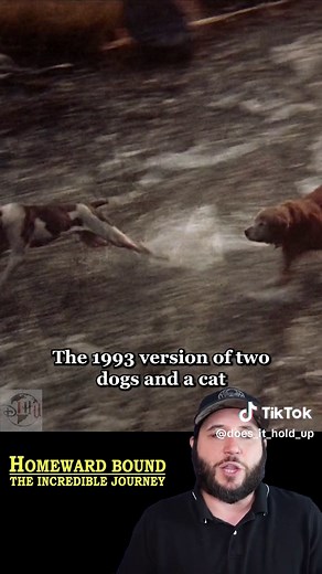 Exploring the Unforgettable Journey of HOMEWARD BOUND: The Incredible Journey