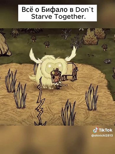 Все о бифало в Don't Starve Together