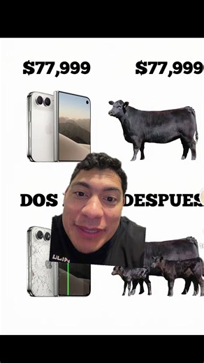 #greenscreen tips de TUMARIDOMOISES | iphone duo