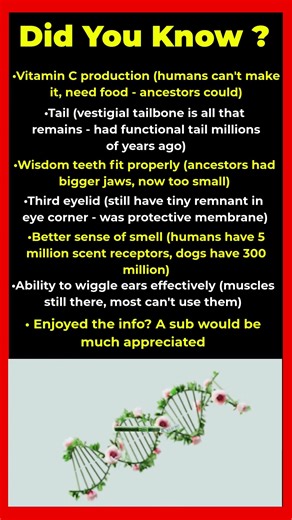 Abilities Humans Used to Have But Lost Through Evolution 🧬❌