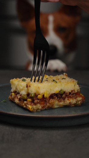 Shepherd’s Pie Recipe with Meat Filling and Potato Topping