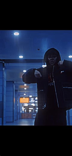 Schon ok | #capitalbra #cb6 #bushido #lyrics_songs #fy @Capital Bra