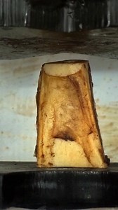 233K views · 1K reactions | The bone crusher 領​ #bone #pressure #crushing #physics #science #reels | The Action Lab | Facebook