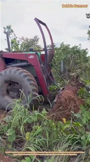 Remise en état des terres : débroussaillage à l'aide d'une lame montée sur tracteur
