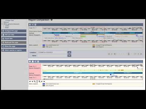 Comparing genes and species in Ensembl
