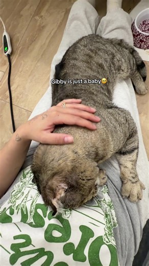 An almost 17 pound baby | babies