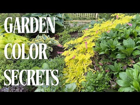 Importance of Foliage Color in the Garden