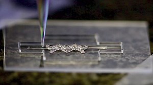 Bioprinting: Building with Bio-Inks