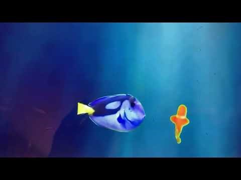 Finding Nemo (Live Action Remake) Teaser Trailer