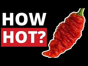 Death Spiral Pepper on the Scoville Scale