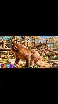 AMAZING PRIMATES