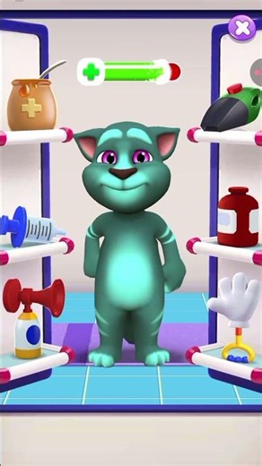 Tom the Naughty Cat Caught a Dangerous Disease! Support for His Recovery!