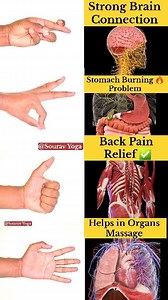 2M views · 11K reactions | Top 4 Best Finger Exercises ✅️ Sourav Yoga #yoga #yogateacher #hand #exercise #yogaeverywhere #yogaeveryday #yogainspiration #yogajourney #yogalove #brainhealth #StomachHealth #organs #backpainrelief #fingerexerces #heartattack #metabolichealth #mudras #healingjourney #stressrelief #stressfree #anxiety #faccbookreel #viralpost2025 #treaSSage #trendingreels #viralvideo #viralreels #viral #explorepage | Sourav Yoga | Facebook