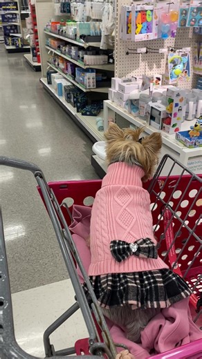 annafrancinepinto (@annafrancinepinto)’s videos with Trapanarella - Vari