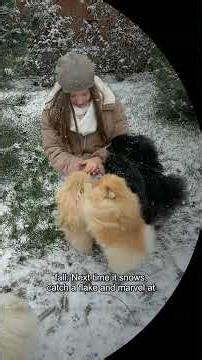 Nature & Animals: Why Are Snowflakes All Different?: Did you know every snowflake is unique? They f…