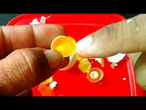 cara mengetahui telur fertil dan infertil