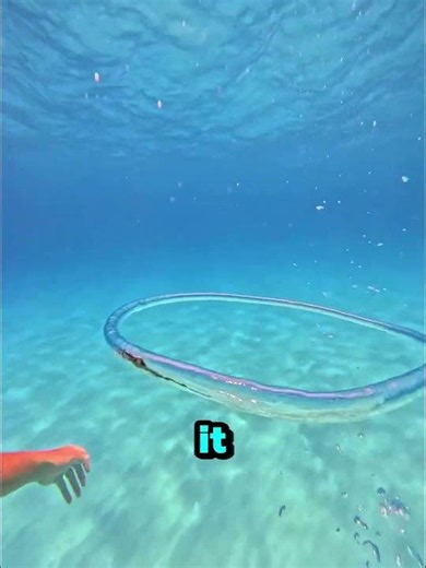 He Accidentally Created the World's Biggest Bubble Ring! 🫧😱