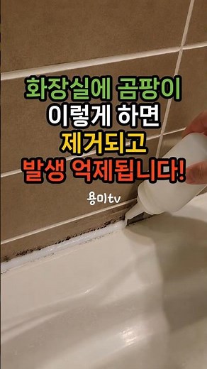 Remove Bathroom Mold and Prevent It from Coming Back! Mold Removal