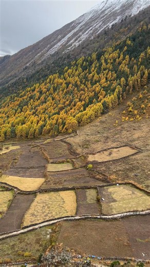 📍Manaslu Circuit Trek in Nepal 🇳🇵 ‼️ Booking ... Open 2026‼️ Photo Cardit go to real owner ✅️Manaslu Circuit Trek is a scenic and challenging trekking route that takes you around the world’s eighth-highest mountain, Mount Manaslu (8,163m). It is a remote and off-the-beaten-path trekking adventure that offers spectacular mountain views, pristine natural scenery, and a glimpse into the unique culture and lifestyle of the ethnic communities living in the region. The trek usually takes about 10-1