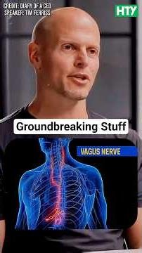 Vagus Nerve Stimulation: The Brain & Gut Connection Explained 🧠⚡