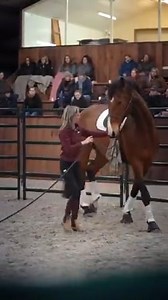 99K views · 3.3K reactions | The horse I met during the Open Problem...