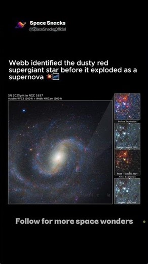 Webb Found the Star Before It Exploded 💥🌌