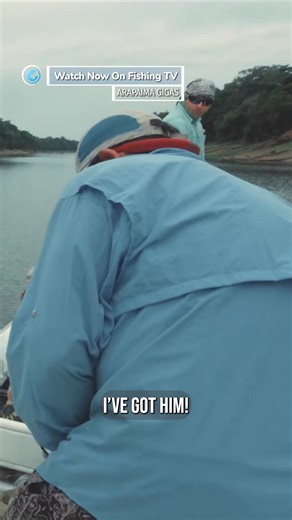 How would you react in this situation? - ‘Arapaima Gigas’ on FishingTV Click the link to watch now! https://www.fishingtv.com/video/arapaima-gigas/ In this new short film from Fly Fishing Nation, a handful of the worlds best fly anglers head into the heart of the Amazon in search of one of the biggest freshwater fish on the planet, the Arapaima! Decades of meat trading have made these prehistoric monsters rare in the wild. But, thanks to the famed Pirarucu Lodge on the Rio Mamiraua, Matt Harris,