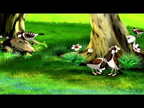 "Feathered Friends: A Bird's Tale - Cartoon Adventure"