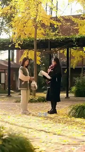 drunken pears of innocence chinese drama