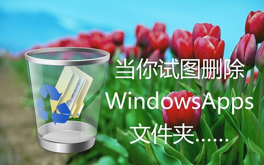 【作死】当你删除WindowsApps文件夹会发生啥？