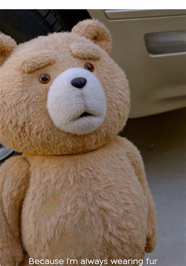 Watch Ted Stream Now on TVNZ
