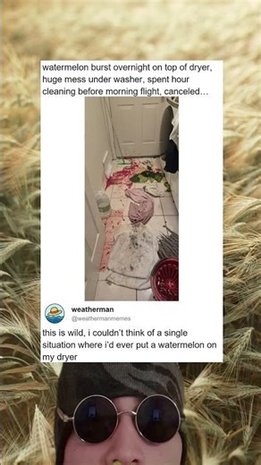 Watermelon Explodes On Dryer Morning Flight Canceled Chaos