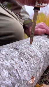 1.5M views · 4.9K reactions | Magnesium as Fire Starter! | DeMilked | Facebook